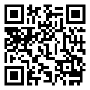 BNB Smart Chain QR Code
